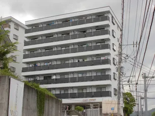 コージーコート【7階】の外観