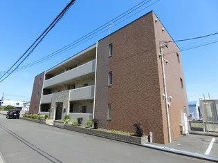 メッシス マヨコの画像