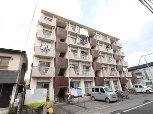 柏グリーンコーポの画像