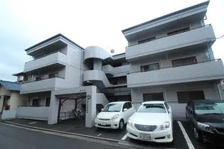 グローリー曙の画像