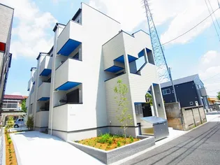 スコールの画像