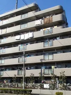 M LAUREL WOODSの画像