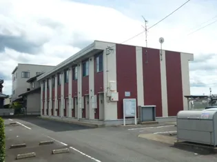 グレイスヒカリの画像