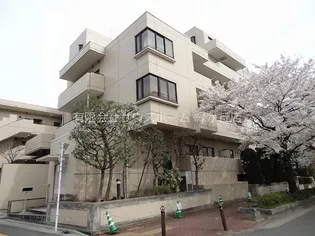 コートアネックス南馬込の画像