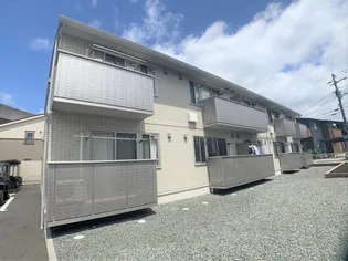ステラの画像