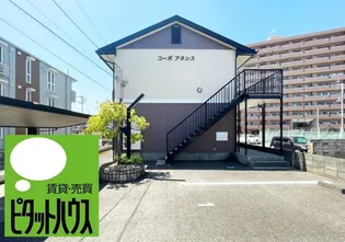 コーポアネシスの画像