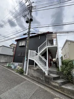 コートカメリアの画像