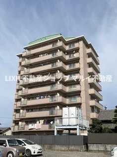 グレイスシラカワの画像
