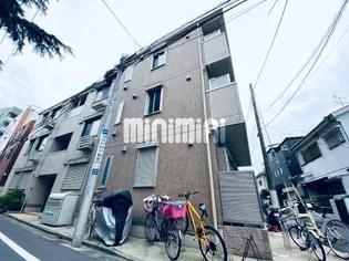 ステラカーサの画像