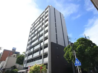 グランドコスモスの画像