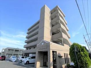 ピュアライヴⅣの画像