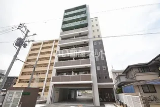 ドレスローズの画像