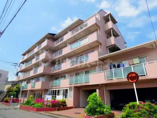 フジハイツ平和台の画像