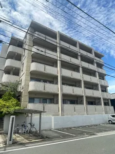 グラッポロの画像