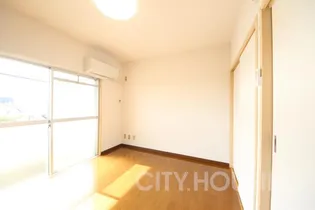 キャッスル85【4階】の外観