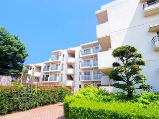 コーポレート中清戸1号棟の画像