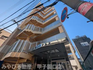 セントナルオの画像