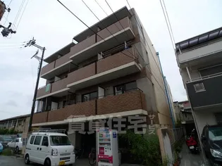 エクセレントコートの画像