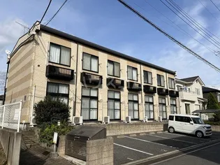 カトレアの画像