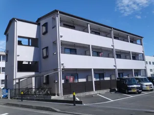 ヴァイオレットWIIの画像