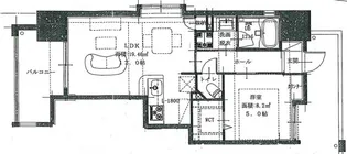 BAUHAUS大手町 NO.17【5階】の間取り