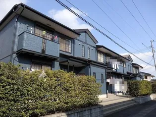 ビッグフォレスト Sの画像