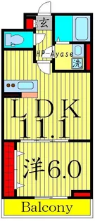 グレイス【1階】の間取り