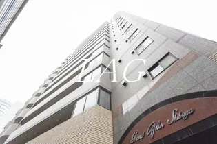 グランド・ガーラ渋谷【7階】の外観