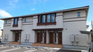 チェリーブロッサムの画像