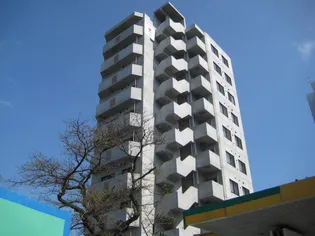 円山シャトー桂和坂下の画像