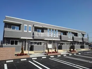 ホワイト ベルの画像