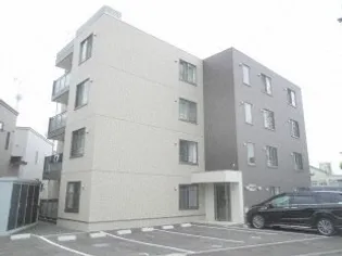 ステラM'Sの画像