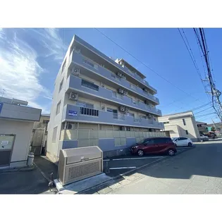 シャトレ渡鹿の画像
