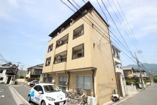 プログレス桂の画像