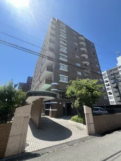 信開ベルシー黒瀬の画像