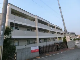 ジェントリーT M Yの画像