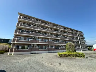 サン フレア ベル長通の画像