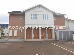 フリージアの画像