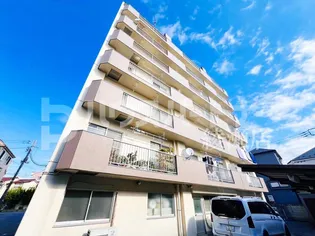 コートアオイの画像