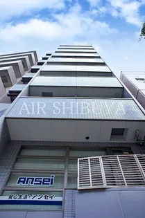 セント ティアラの画像