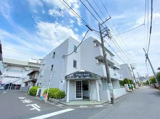 TOKO WISEの画像