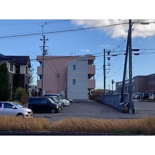 アーク フォレストの画像