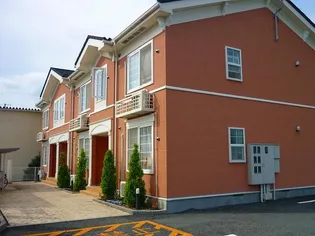 カトレヤの画像