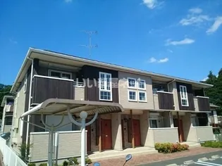 ヴァンベール Vの画像