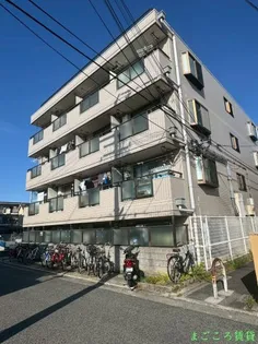 コスモの画像