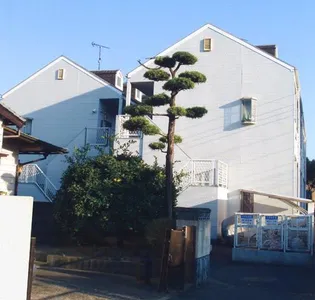 福岡県福岡市博多区諸岡5【アパート】の外観