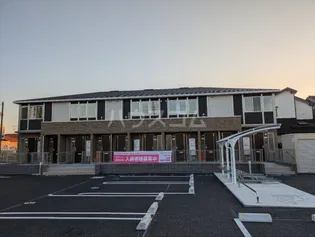 サンフラワーの画像