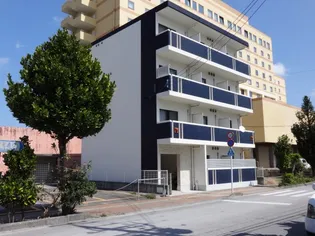 レオネクストパウリスタ【4階】の外観