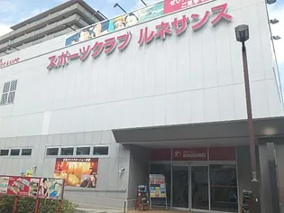 Palazzo翔【1階】の周辺