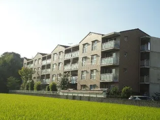 カーサNAKAMURAの画像